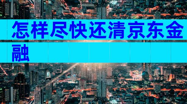 怎样尽快还清京东金融
