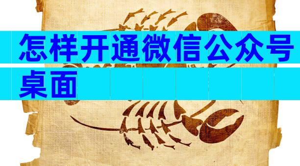 怎样开通微信公众号桌面
