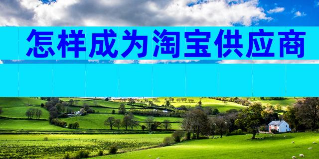 怎样成为淘宝供应商