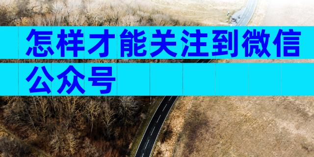 怎样才能关注到微信公众号