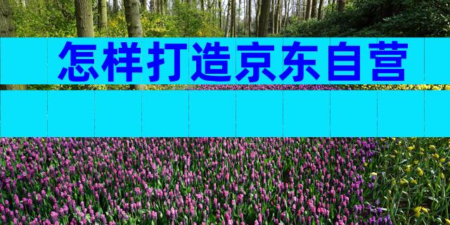 怎样打造京东自营