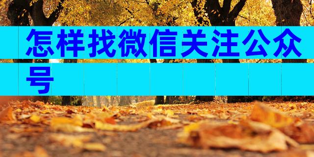 怎样找微信关注公众号