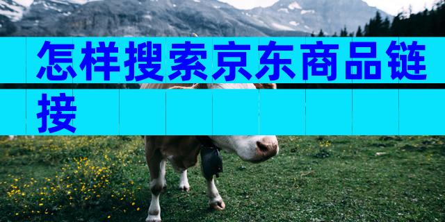 怎样搜索京东商品链接