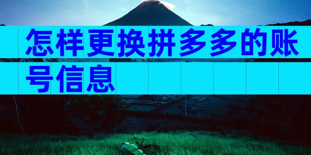 怎样更换拼多多的账号信息