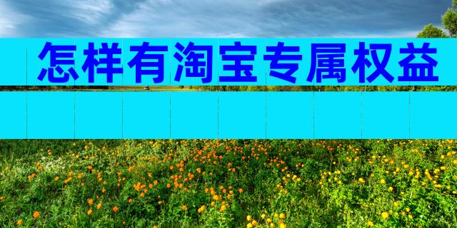 怎样有淘宝专属权益