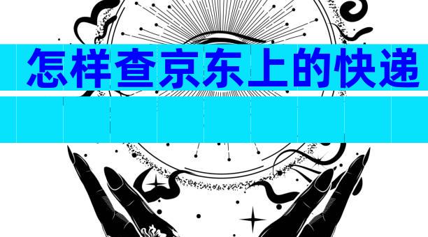 怎样查京东上的快递