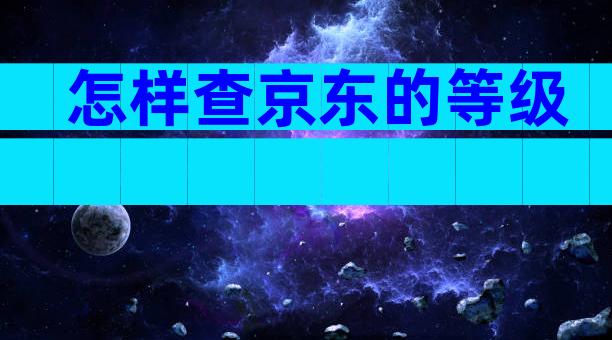 怎样查京东的等级