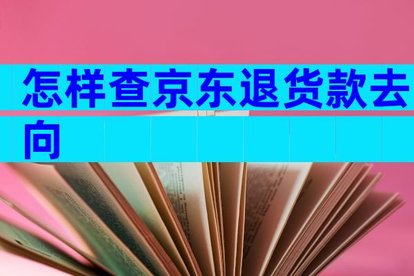 怎样查京东退货款去向