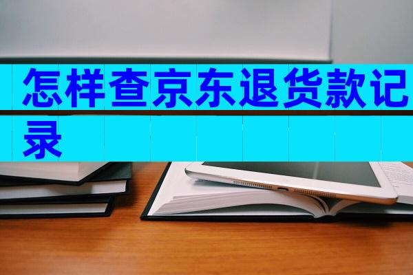 怎样查京东退货款记录