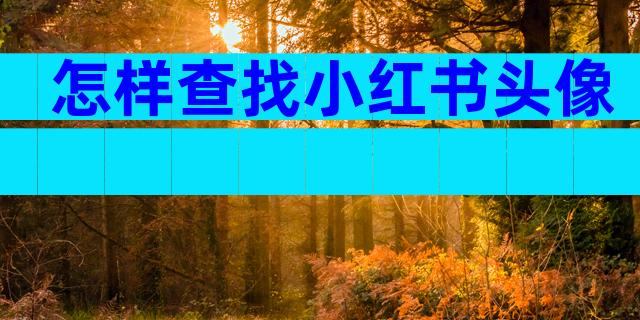 怎样查找小红书头像