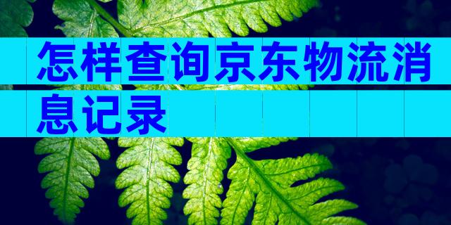 怎样查询京东物流消息记录