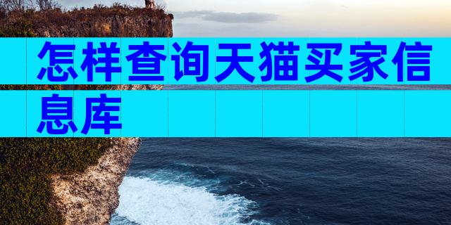 怎样查询天猫买家信息库