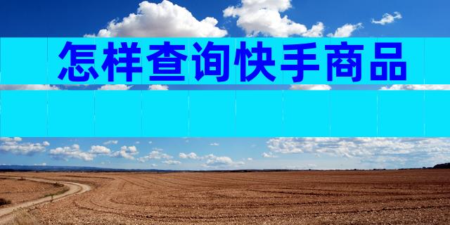 怎样查询快手商品
