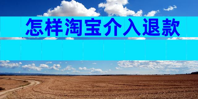 怎样淘宝介入退款