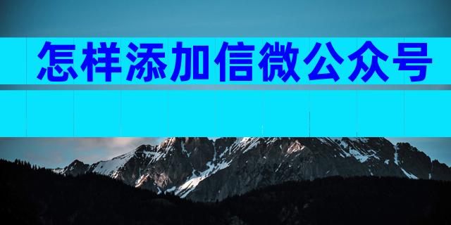 怎样添加信微公众号