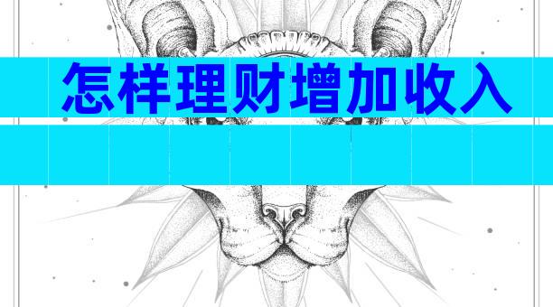 怎样理财增加收入