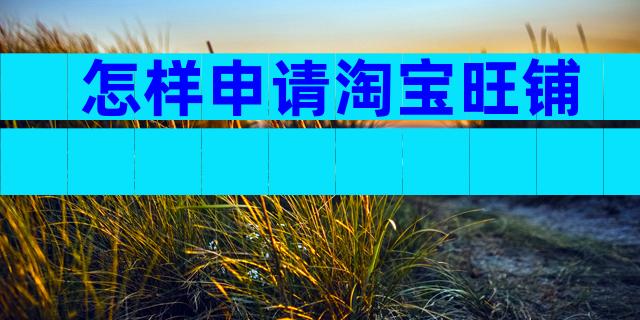 怎样申请淘宝旺铺