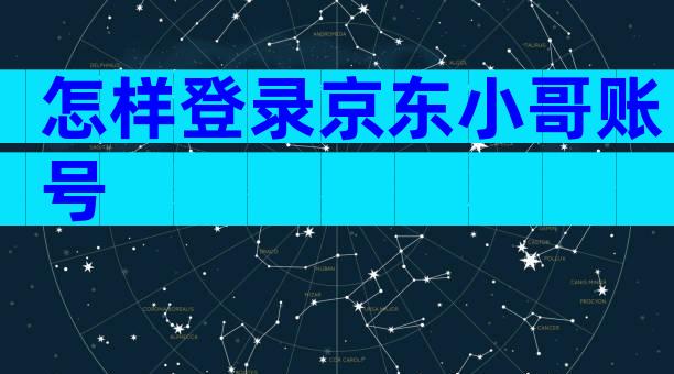 怎样登录京东小哥账号