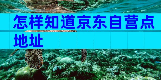 怎样知道京东自营点地址