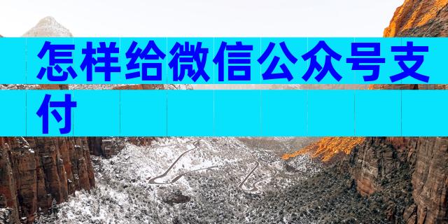 怎样给微信公众号支付