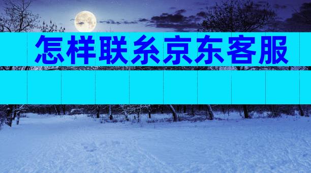 怎样联糸京东客服