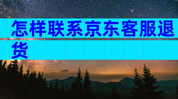 怎样联系京东客服退货