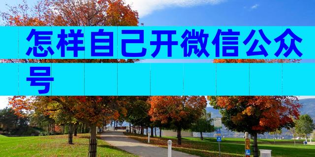 怎样自己开微信公众号