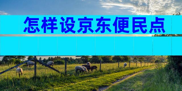 怎样设京东便民点