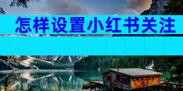 怎样设置小红书关注