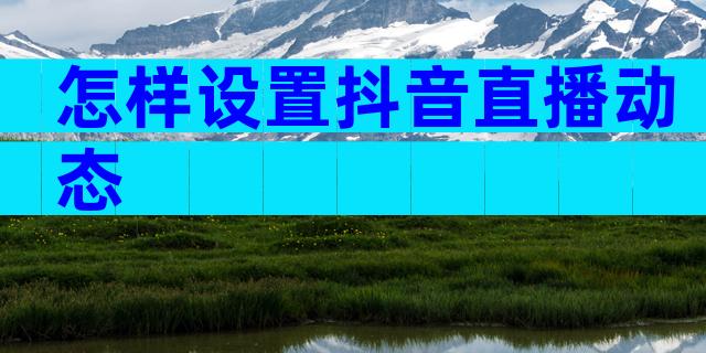 怎样设置抖音直播动态