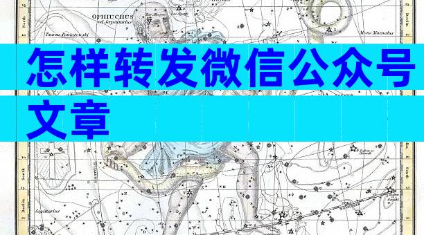 怎样转发微信公众号文章