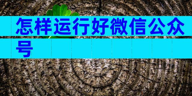 怎样运行好微信公众号