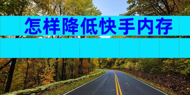 怎样降低快手内存