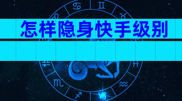 怎样隐身快手级别