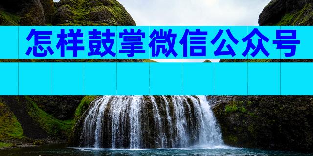 怎样鼓掌微信公众号