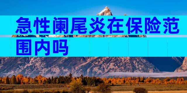 急性阑尾炎在保险范围内吗