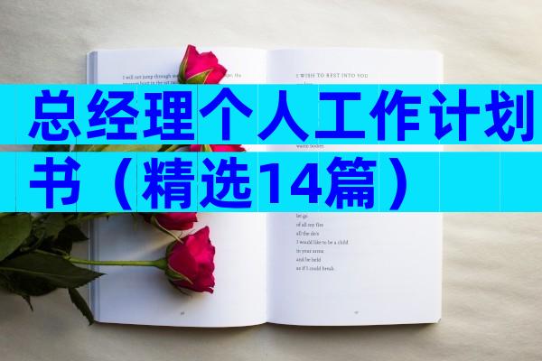 总经理个人工作计划书（精选14篇）
