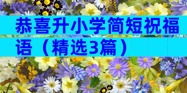 恭喜升小学简短祝福语（精选3篇）