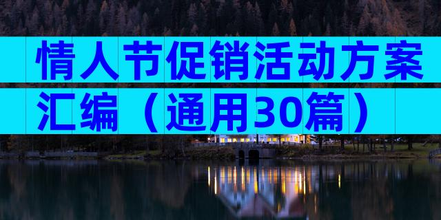 情人节促销活动方案汇编（通用30篇）