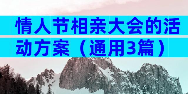 情人节相亲大会的活动方案（通用3篇）