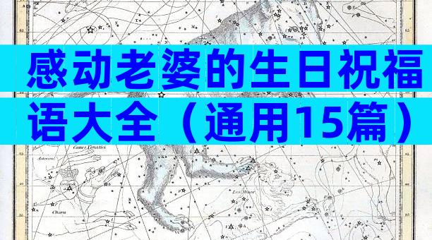 感动老婆的生日祝福语大全（通用15篇）