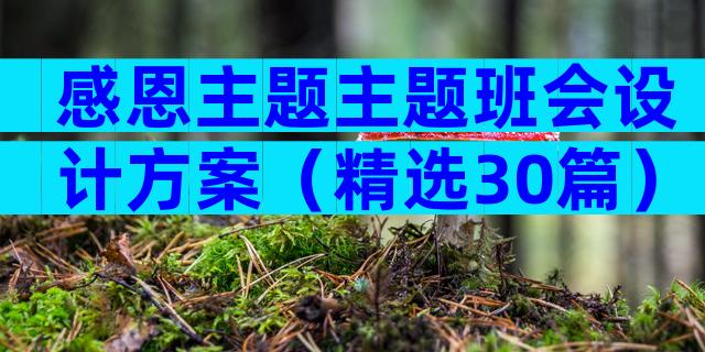 感恩主题主题班会设计方案（精选30篇）