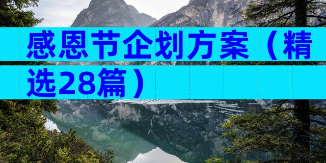 感恩节企划方案（精选28篇）