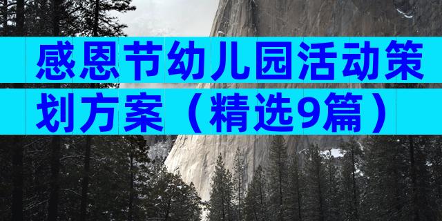 感恩节幼儿园活动策划方案（精选9篇）
