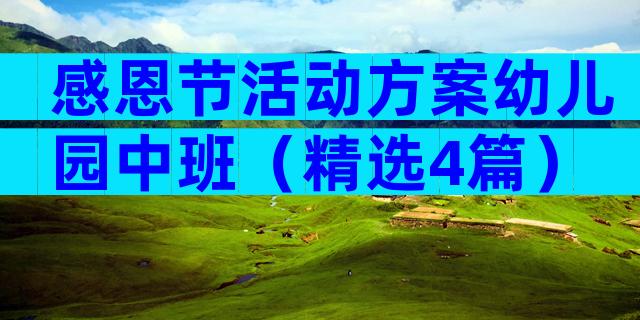 感恩节活动方案幼儿园中班（精选4篇）