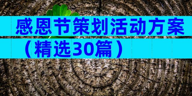 感恩节策划活动方案（精选30篇）