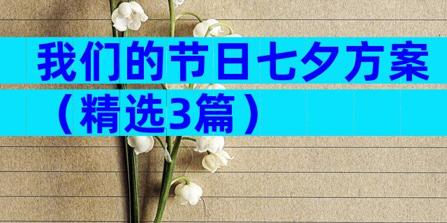 我们的节日七夕方案（精选3篇）