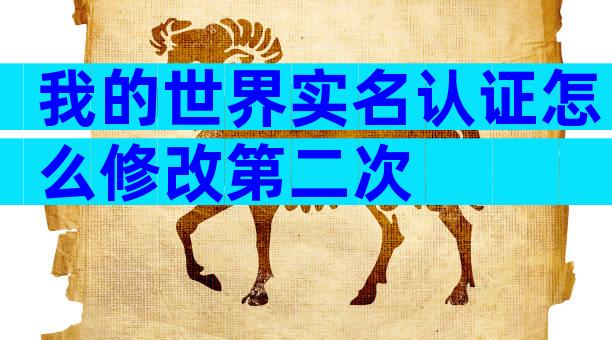 我的世界实名认证怎么修改第二次