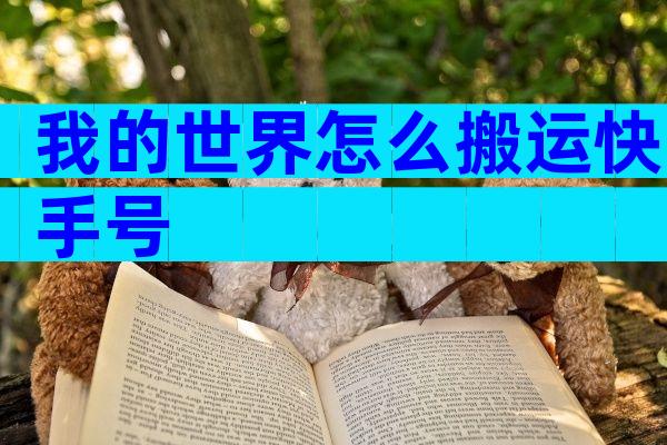 我的世界怎么搬运快手号
