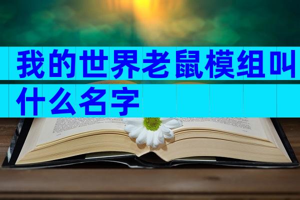 我的世界老鼠模组叫什么名字
